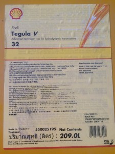 shell-tegula-v-32